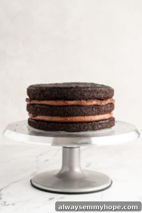 three layers of chocolate cake stacked with frosting in the inside