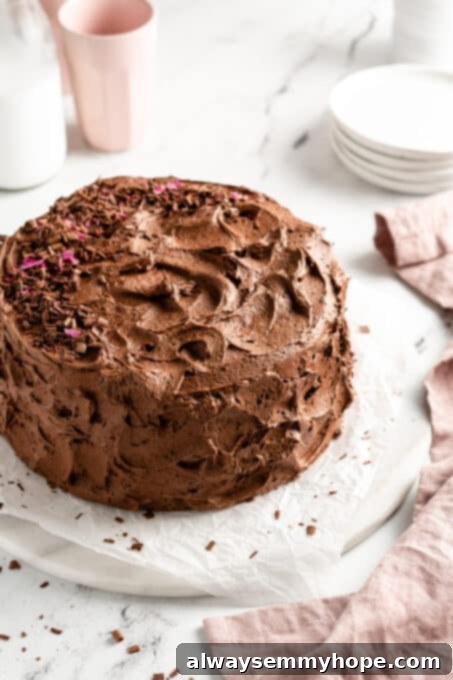 gluten free chocolate cake fully frosting