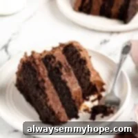 slice of chocolate cake on a plate with a fork