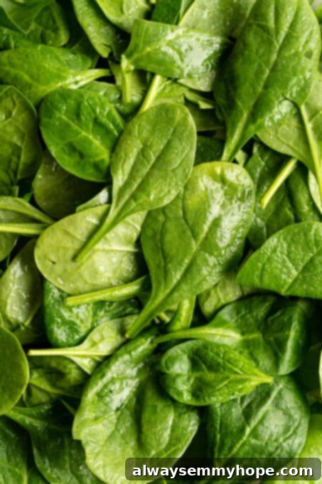 A close-up shot of fresh, vibrant green spinach leaves, highlighting their crisp texture. Spinach is a leafy green powerhouse, rich in vitamins, minerals, and a good source of plant-based protein, especially when cooked.