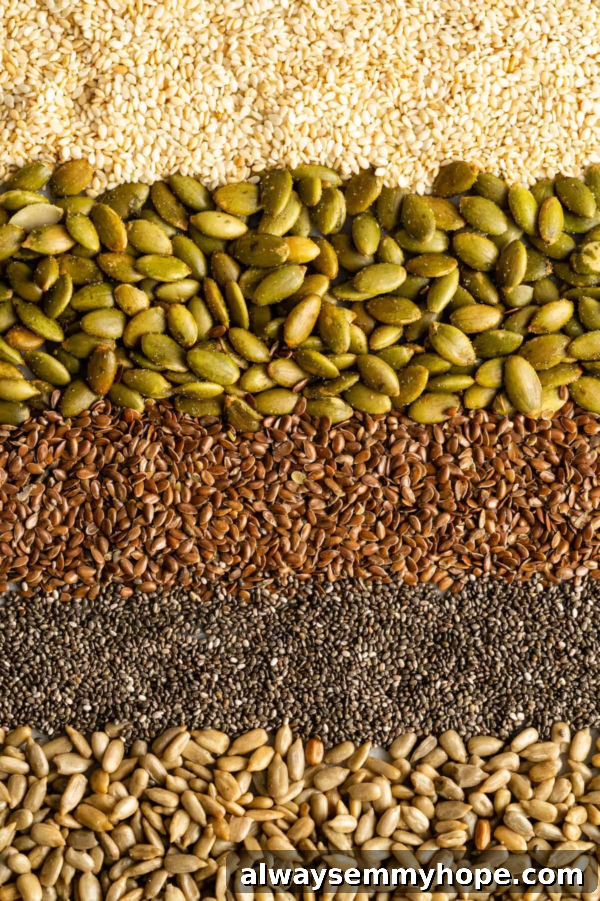 An organized display of various seeds, lined up individually for clear identification. The selection includes vibrant green pepitas (pumpkin seeds) and small, dark sesame seeds, among others. Seeds are concentrated sources of plant-based protein, healthy fats, and fiber.