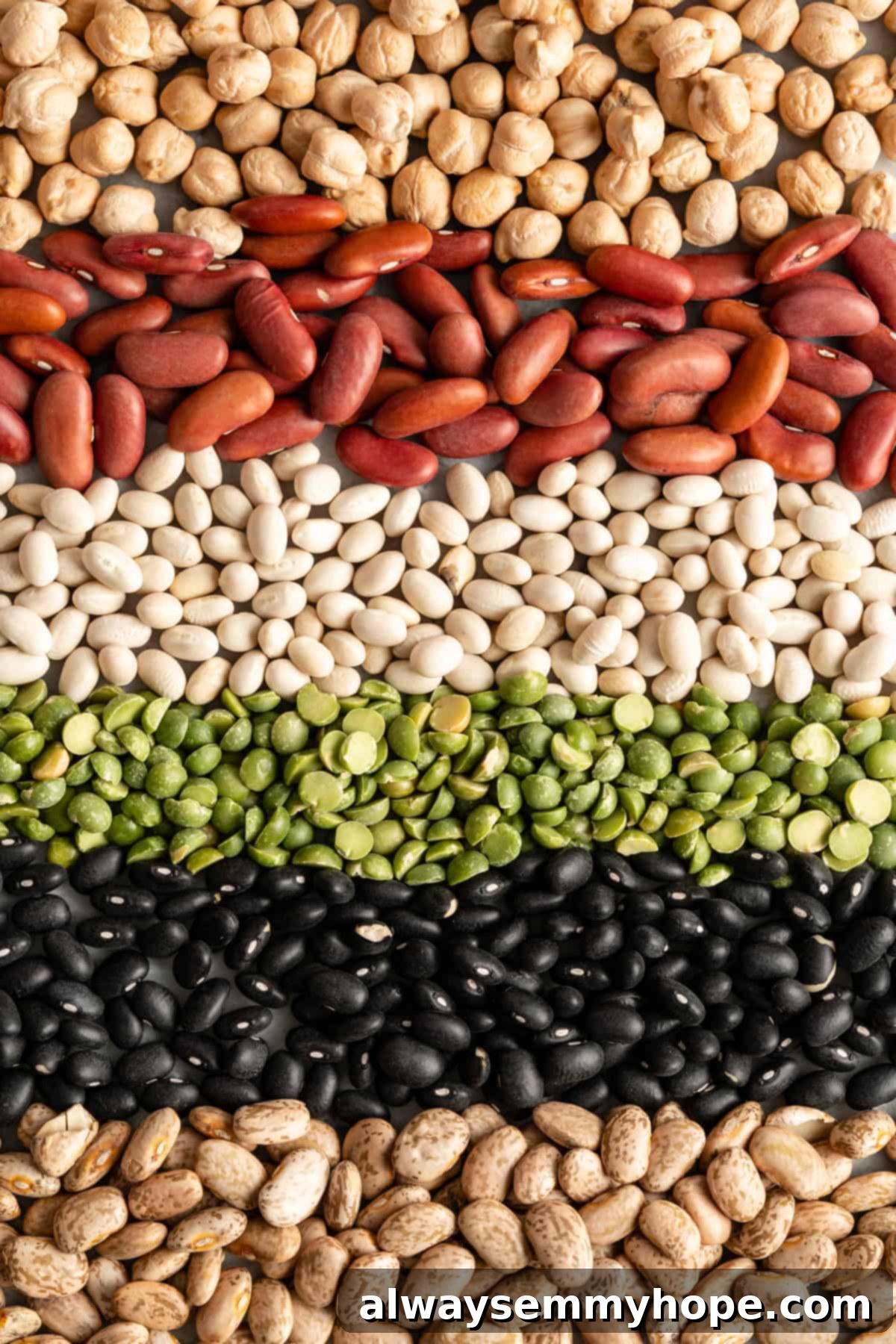 An appetizing arrangement of various legumes, including vibrant green peas, a mix of brown and red lentils, and different types of beans like chickpeas and black beans. This display highlights legumes as a fundamental and highly nutritious component of a plant-based diet, offering abundant protein and fiber.