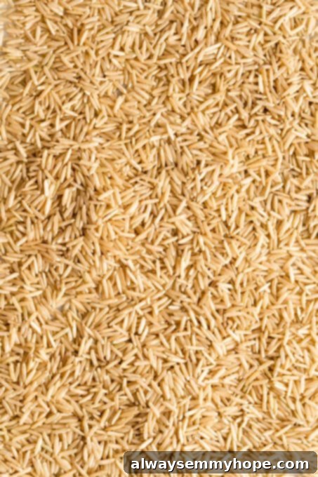 A close-up view of dry, raw brown rice kernels, highlighting their natural texture and earthy color. Brown rice is a wholesome whole grain that contributes complex carbohydrates and a good amount of plant-based protein to a vegan diet.