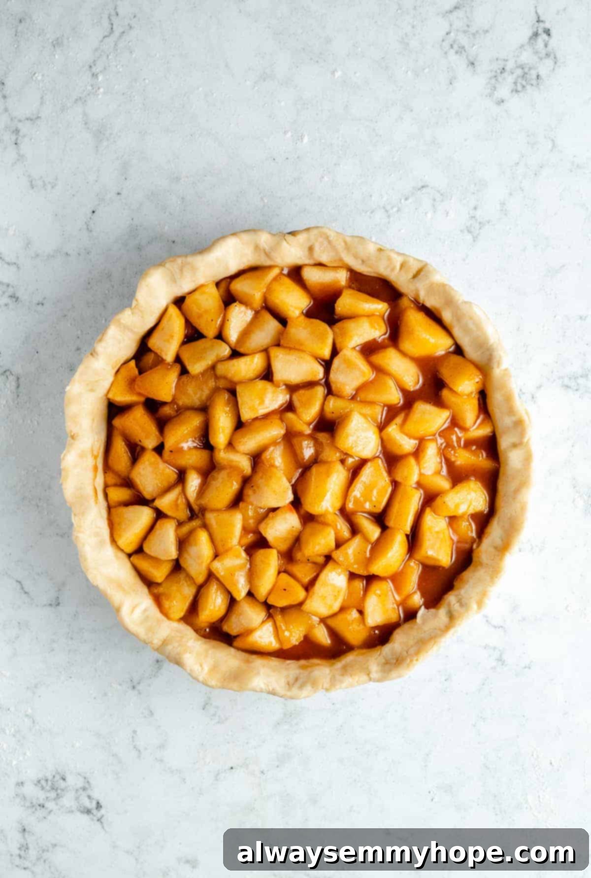 Perfect Vegan Apple Pie 11 Apple pie crust filled to the brim with cinnamon-nutmeg coated apples.