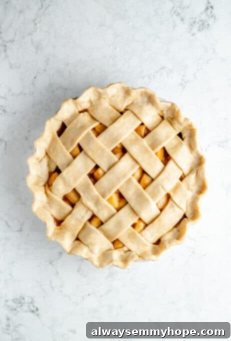 Perfect Vegan Apple Pie 13 An unbaked vegan apple pie, beautifully assembled with a lattice top.