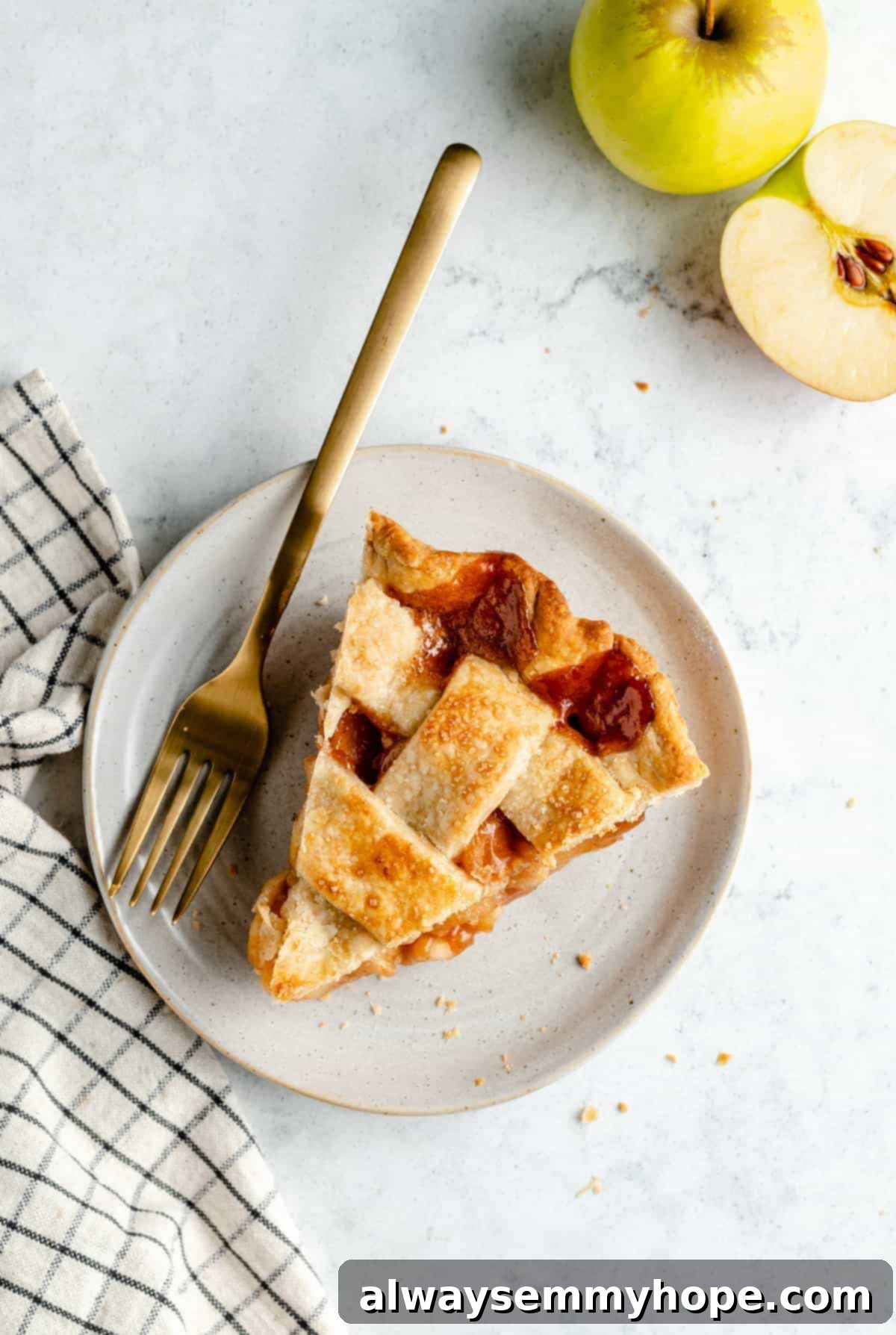 Perfect Vegan Apple Pie 16 A perfectly sliced piece of vegan apple pie on a white plate, ready to be enjoyed.