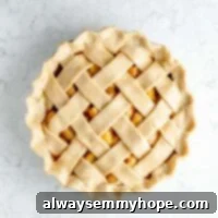 A baked apple pie with a golden lattice top, signifying a perfectly flaky vegan crust.