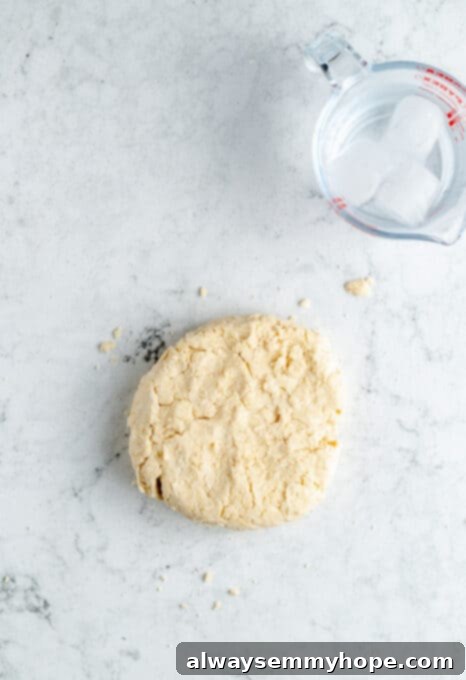 A neatly formed, round disk of vegan pie dough resting on a countertop, wrapped in plastic wrap for chilling.