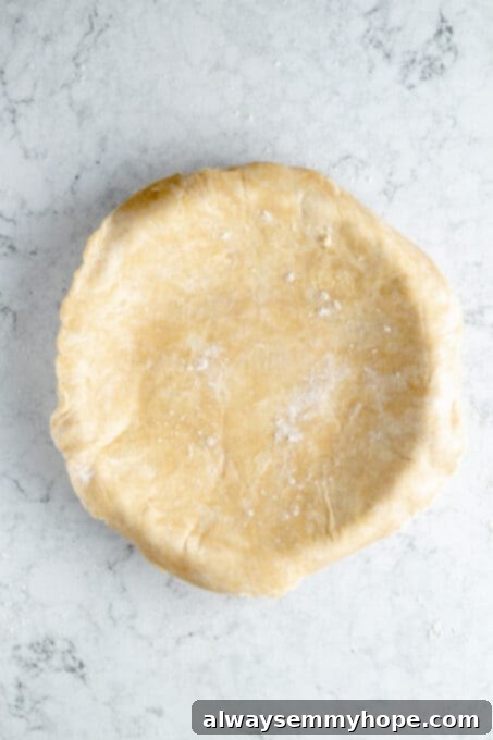 The rolled-out vegan pie dough, gently draped over a pie dish, ready to be fitted and shaped.
