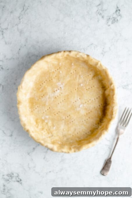 The vegan pie crust perfectly fitted into a pie dish, with the bottom pricked lightly with a fork, ready for blind baking or filling.