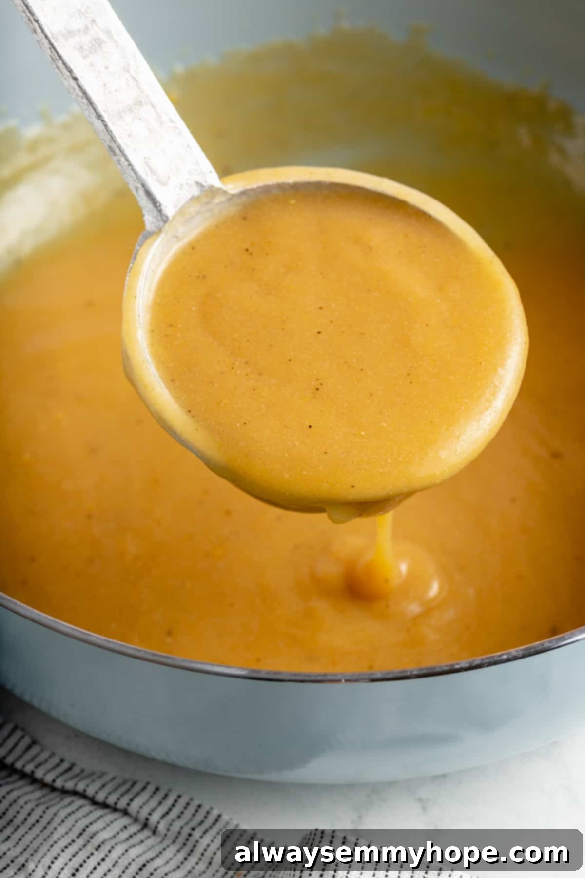 This vegan gravy is easy to make, silky smooth, and delicious over mashed potatoes! It's packed with savoury flavour, made without mushrooms. Close-up shot of a ladle filled with smooth, dark vegan gravy, ready to be poured.