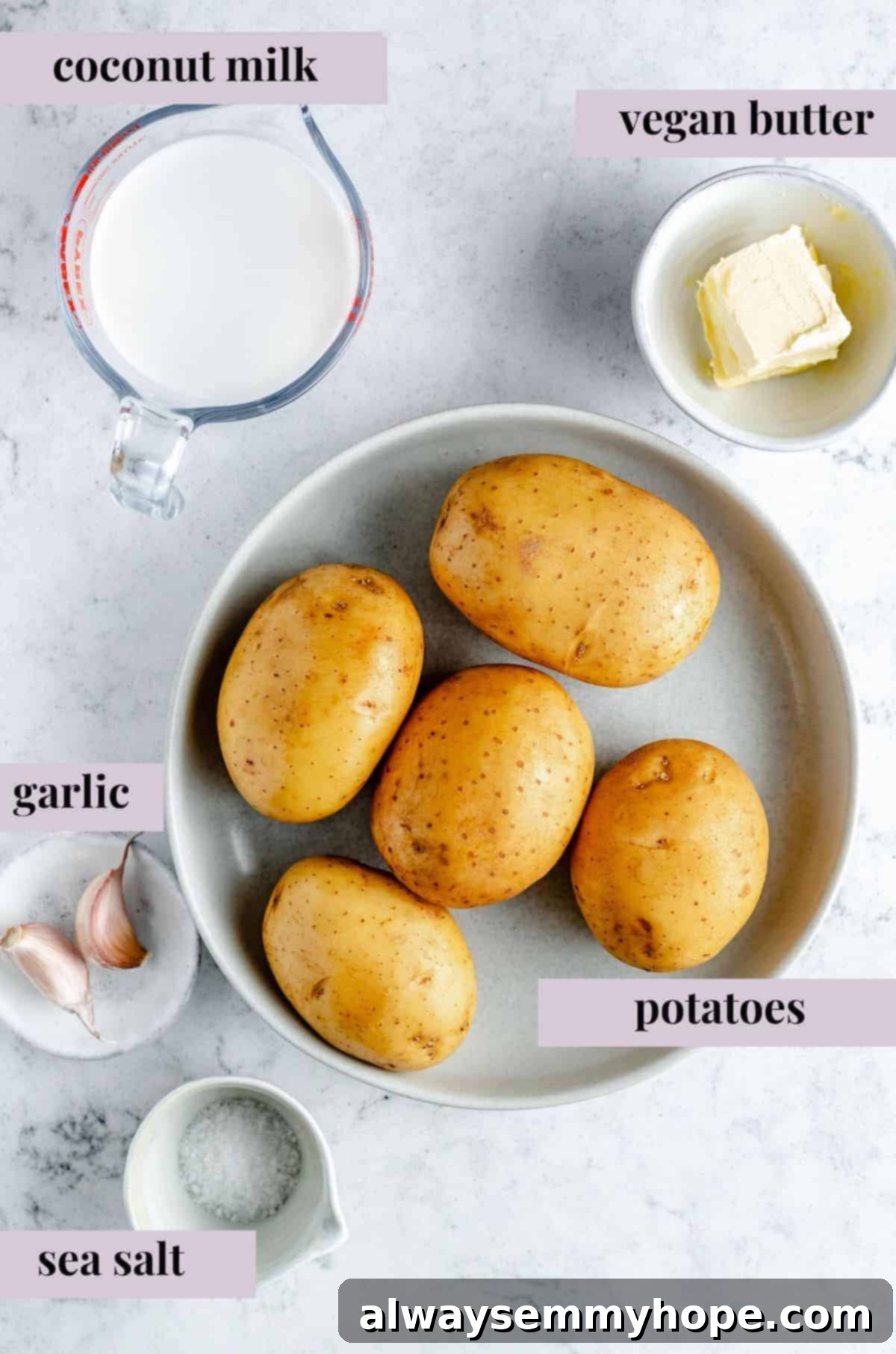 Overhead shot of mashed potato ingredients with labels