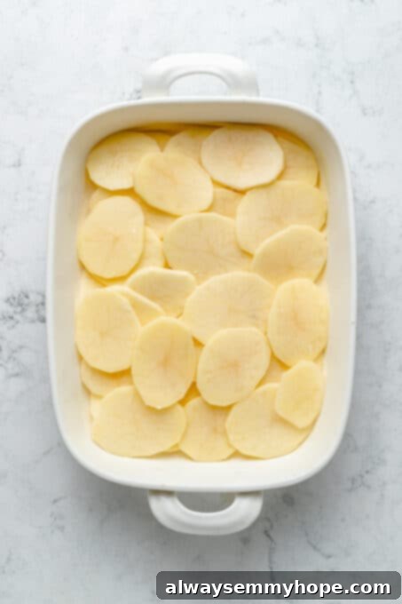 My creamy vegan scalloped potatoes are dairy-free, cheesy and easy to make! The perfect side dish for Thanksgiving, holidays, and weeknights. Overhead view of potato slices layered in baking dish