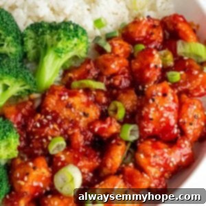 Korean Gochujang Tofu Rice Bowls 17 korean tofu bites on a bed of rice with broccoli