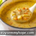 A ladle full of rich and chunky vegan cheeseburger soup being scooped from a pot, showing savory ingredients and creamy broth.