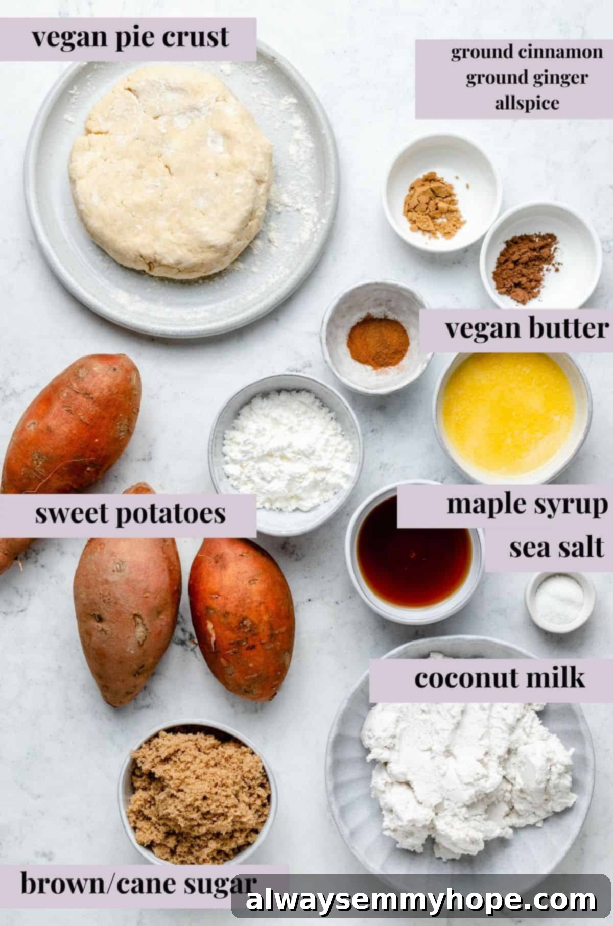 This creamy vegan sweet potato pie is easy to make with coconut milk and warm spices. It's dairy-free, egg-free, and great for Thanksgiving! A collection of fresh sweet potato pie ingredients laid out on a rustic surface, showcasing whole sweet potatoes, a can of coconut milk, spices, and other key components for the vegan filling.