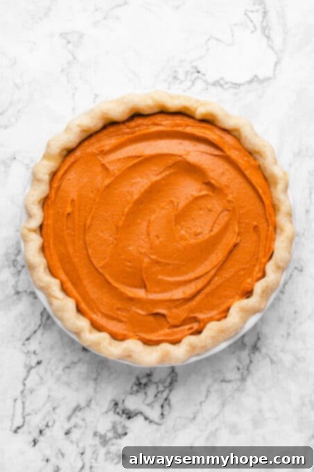 This creamy vegan sweet potato pie is easy to make with coconut milk and warm spices. It's dairy-free, egg-free, and great for Thanksgiving! A par-baked pie crust perfectly filled with the smooth, orange sweet potato pie batter, tapped and ready for its final bake in the oven.
