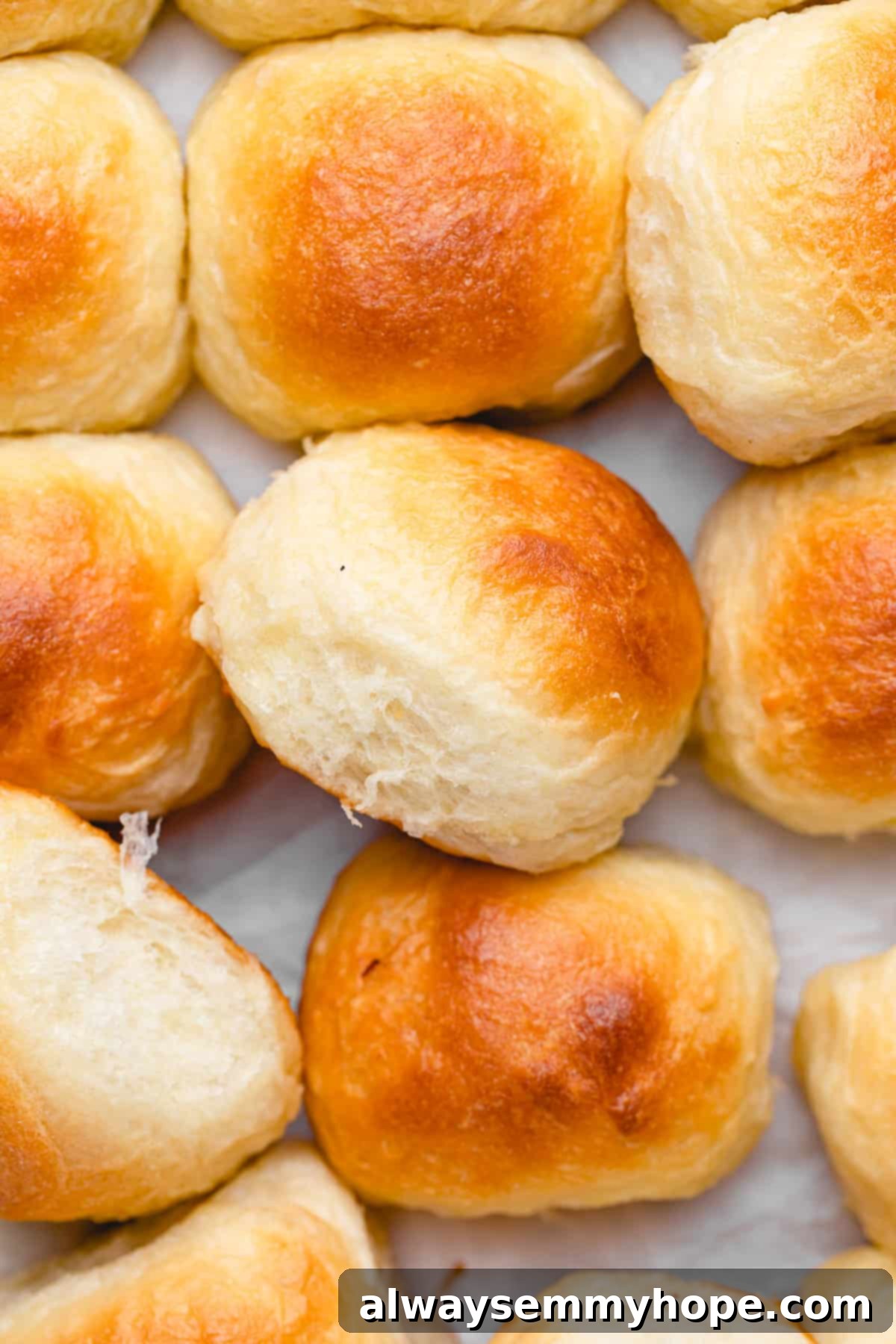 A close-up shot of golden-brown vegan dinner rolls arranged on a counter, with some turned sideways to show their soft interior.
