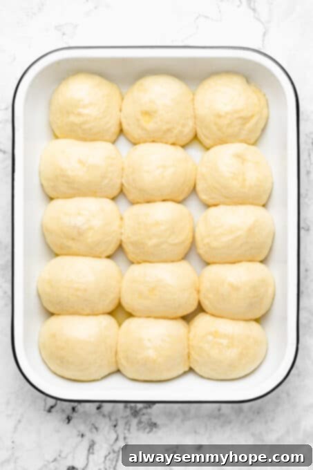 Perfectly risen dough balls touching each other in a baking dish, indicating a successful proof.
