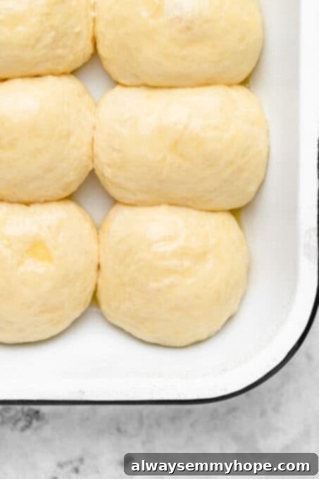A close-up of beautifully risen dough balls in a baking dish, their surfaces smooth and plump.