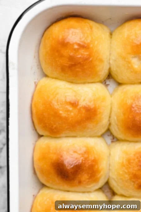 Close-up of freshly baked, golden-brown vegan dinner rolls in a baking dish.