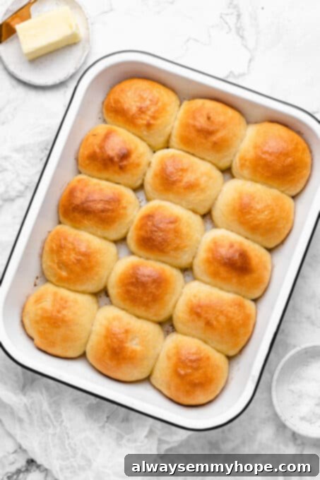Baked golden-brown vegan dinner rolls nestled together in a rectangular baking dish.