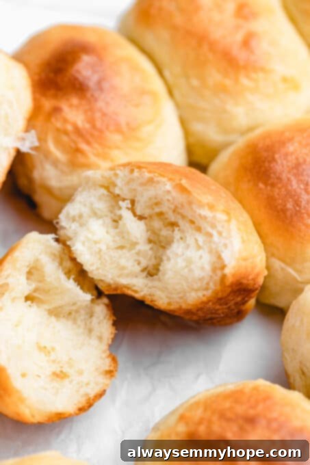 A close-up shot of a single vegan dinner roll torn in half, revealing its soft, airy interior texture.