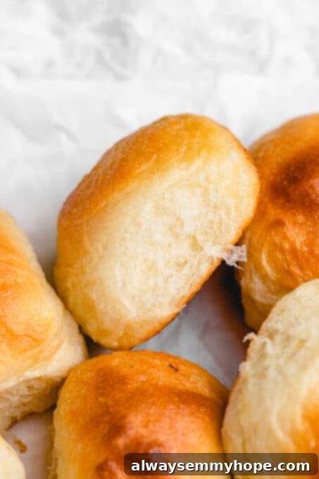 Close-up of freshly baked vegan dinner rolls in a baking dish, gently separated to show individual rolls.