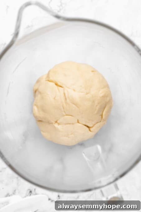 Smooth, well-mixed dough ball after kneading, ready for its first rise.