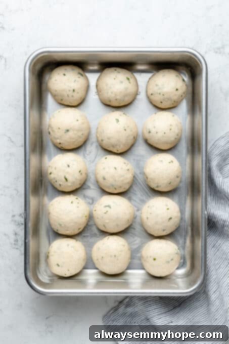 Fluffy Vegan Garlic Parmesan Dinner Rolls 10 Overhead view of dinner rolls in baking pan before rising