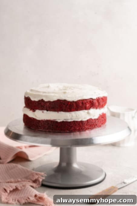 A freshly baked vegan red velvet cake layer resting on a cake pedestal, ready for frosting.
