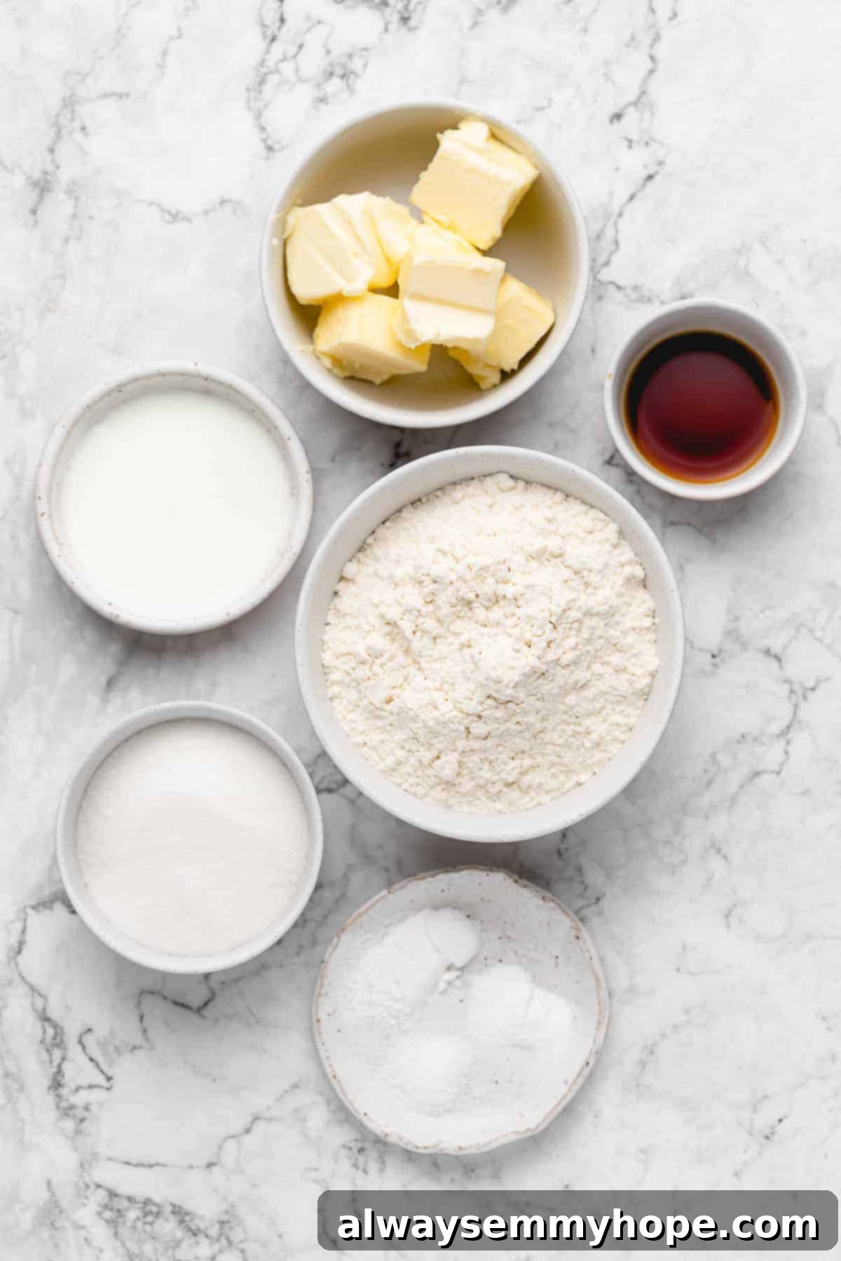 Overhead view of vegan sugar cookie ingredients