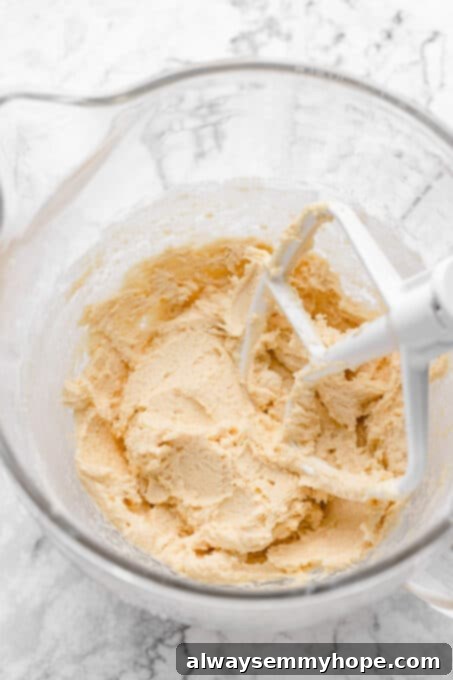 Sugar cookie dough in stand mixer bowl