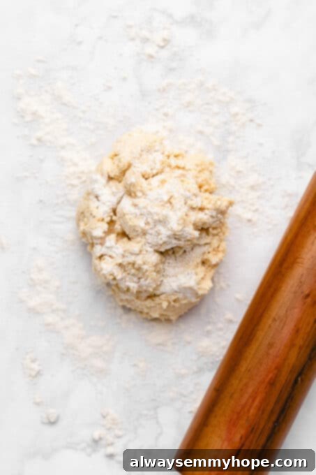 Overhead view of sugar cookie dough after forming into a ball