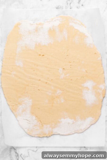Overhead view of rolled out sugar cookie dough