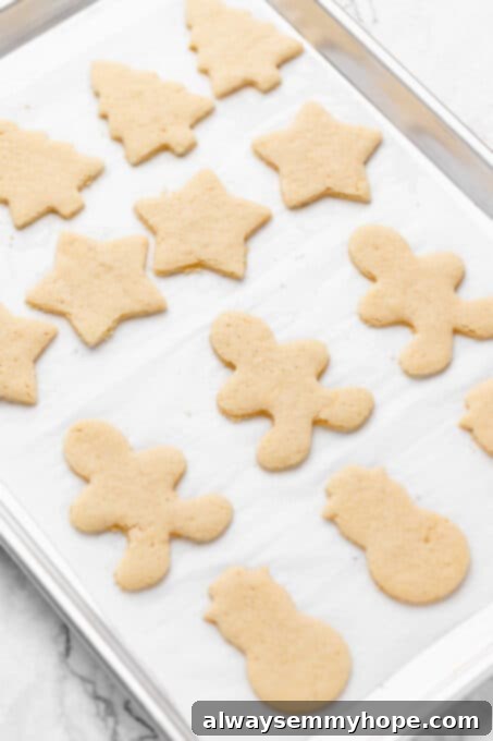 Cut sugar cookie dough on parchment-lined baking sheet