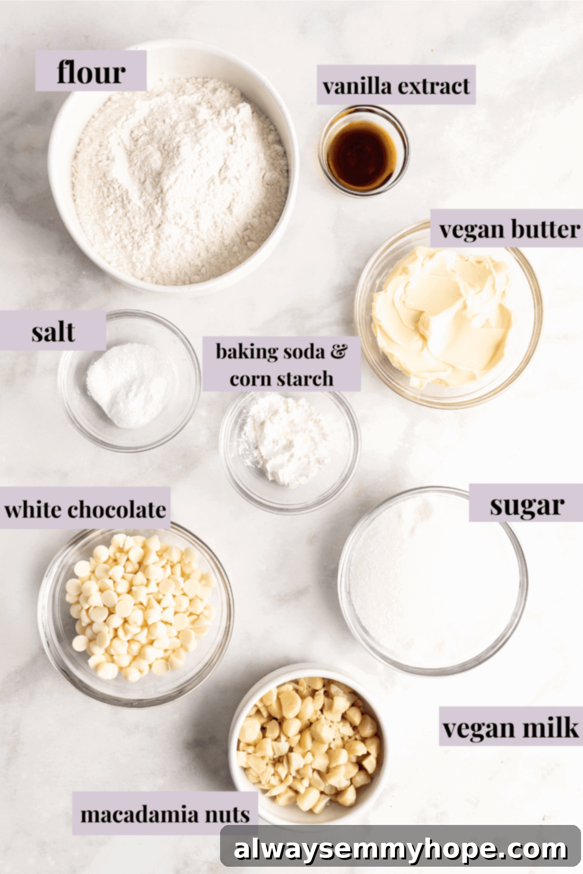 Essential ingredients for creating perfect vegan white chocolate macadamia nut cookies. A vibrant flat lay of all the fresh ingredients needed for vegan white chocolate macadamia nut cookies, neatly arranged with clear text labels.
