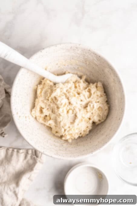 Mixed vegan white chocolate macadamia nut cookie dough. Overhead view of a perfectly mixed bowl of vegan white chocolate macadamia nut cookie dough, rich with inclusions and ready for refrigeration.