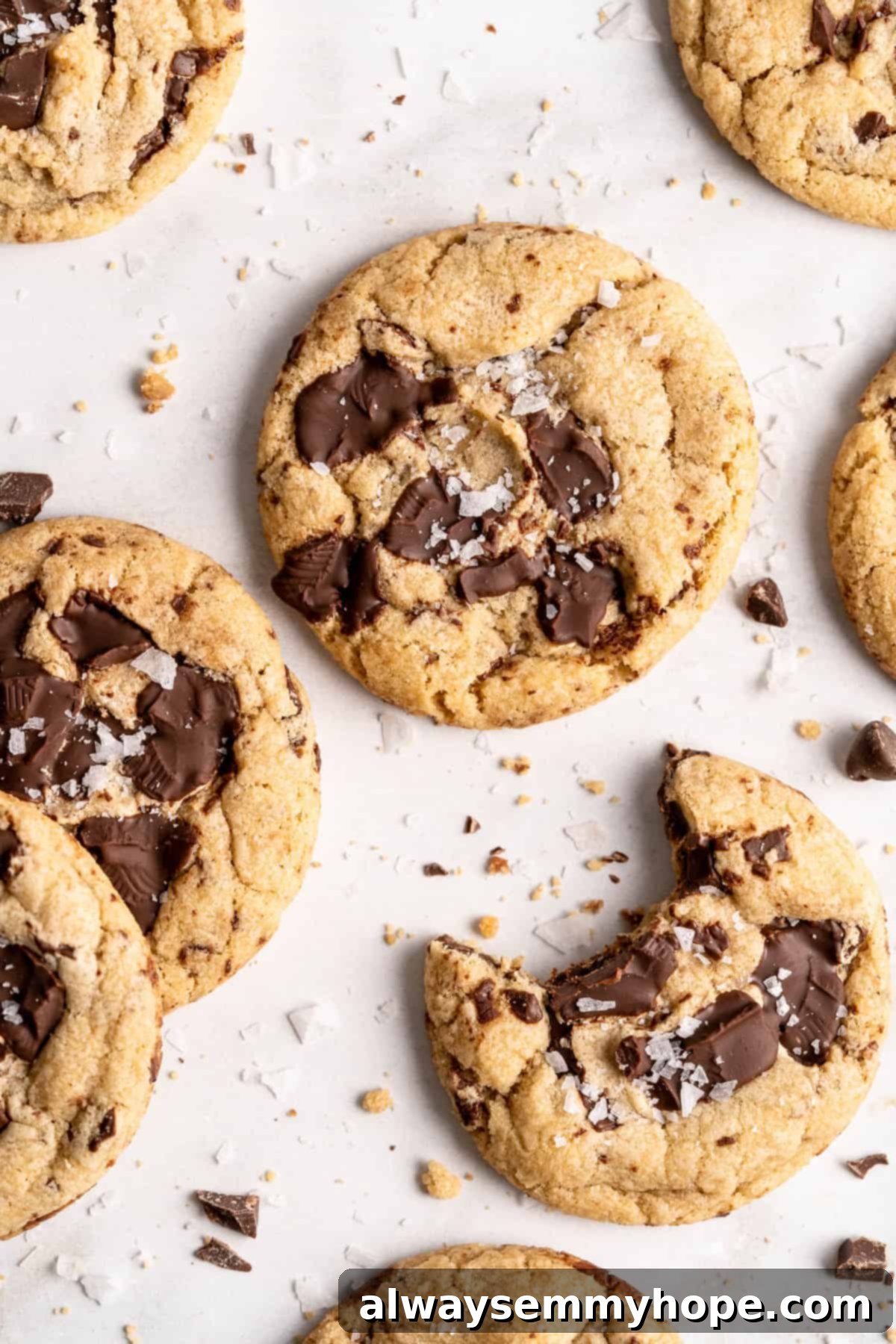 Plant-Based Chocolate Chip Bliss 12 Beautifully baked vegan chocolate chip cookies, one with a bite taken out, surrounded by crumbs, sea salt flakes, and extra chocolate chunks, highlighting their rich, chewy texture.