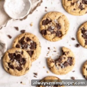 Plant-Based Chocolate Chip Bliss 15 Vegan chocolate chip cookies on parchment paper, with one bitten
