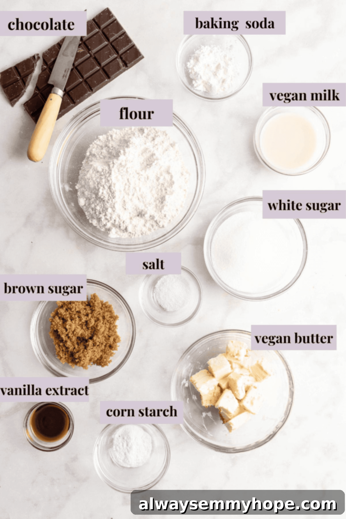Plant-Based Chocolate Chip Bliss 3 Overhead view of all the essential ingredients laid out and labeled for making easy vegan chocolate chip cookies, including vegan butter, sugars, flour, cornstarch, and chocolate chips, ready for baking.
