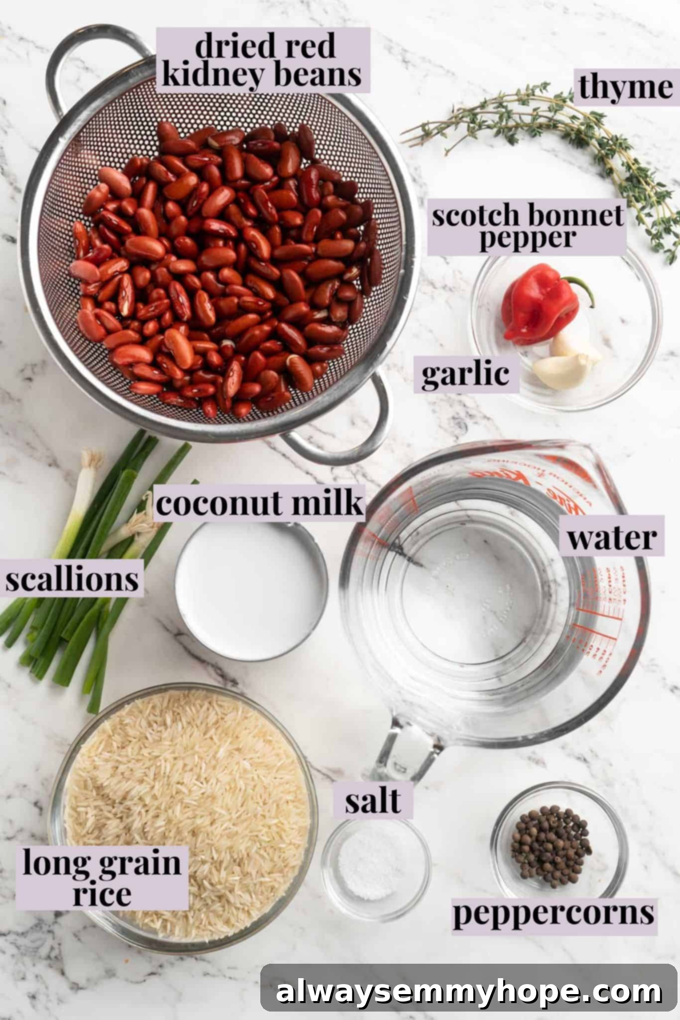 This authentic Jamaican rice and peas recipe is an easy side dish with lots of island vibes! It's packed with flavour and so simple to make. Overhead view of fresh ingredients for Jamaican rice and peas laid out on a wooden surface with labels, including red kidney beans, rice, coconut milk, scallions, thyme, and Scotch bonnet pepper.