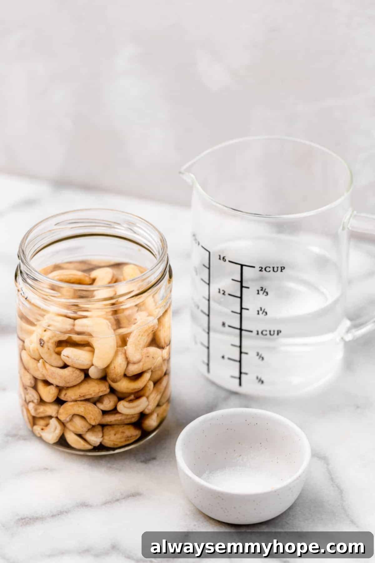 Ingredients for vegan creamer