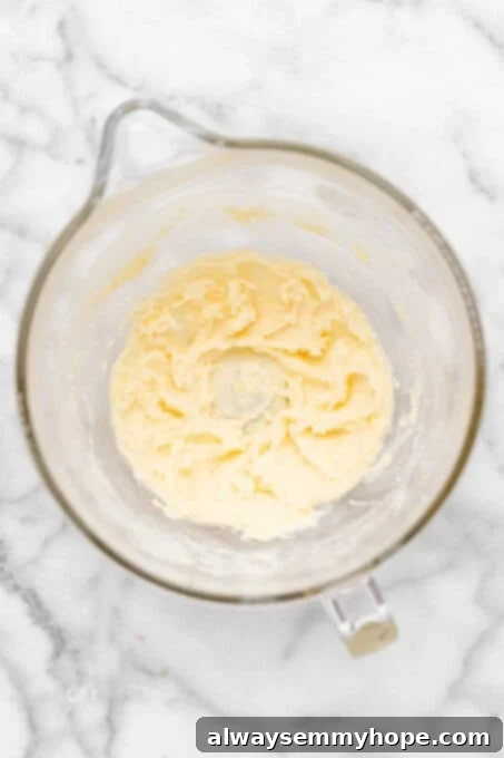 These vegan frosted sugar cookie bars have all the flavor of a classic sugar cookie, without the rolling and cutting, or the dairy and eggs! Overhead view of creamed butter and sugar in mixing bowl