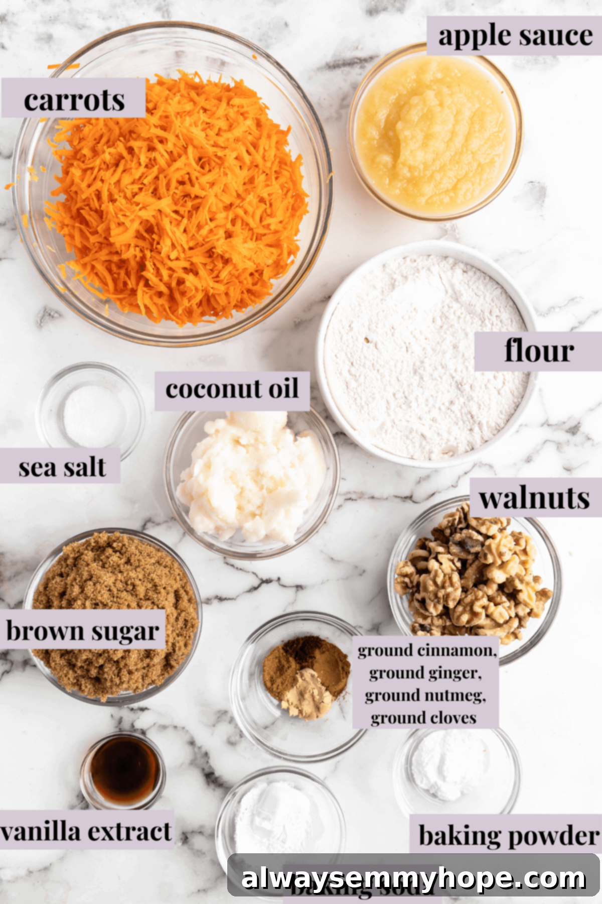 Decadent Plant-Based Carrot Cake 3 Overhead view of vegan carrot cake ingredients with labels