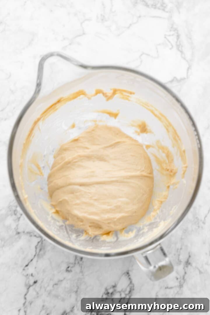Overhead view of cinnamon roll dough in a mixing bowl, ready for kneading.