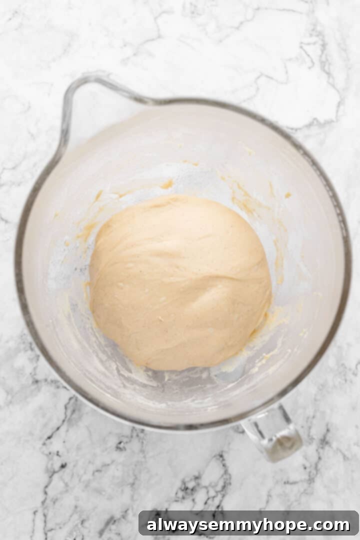 Overhead view of smooth cinnamon roll dough in a mixing bowl after kneading and before the first rise.