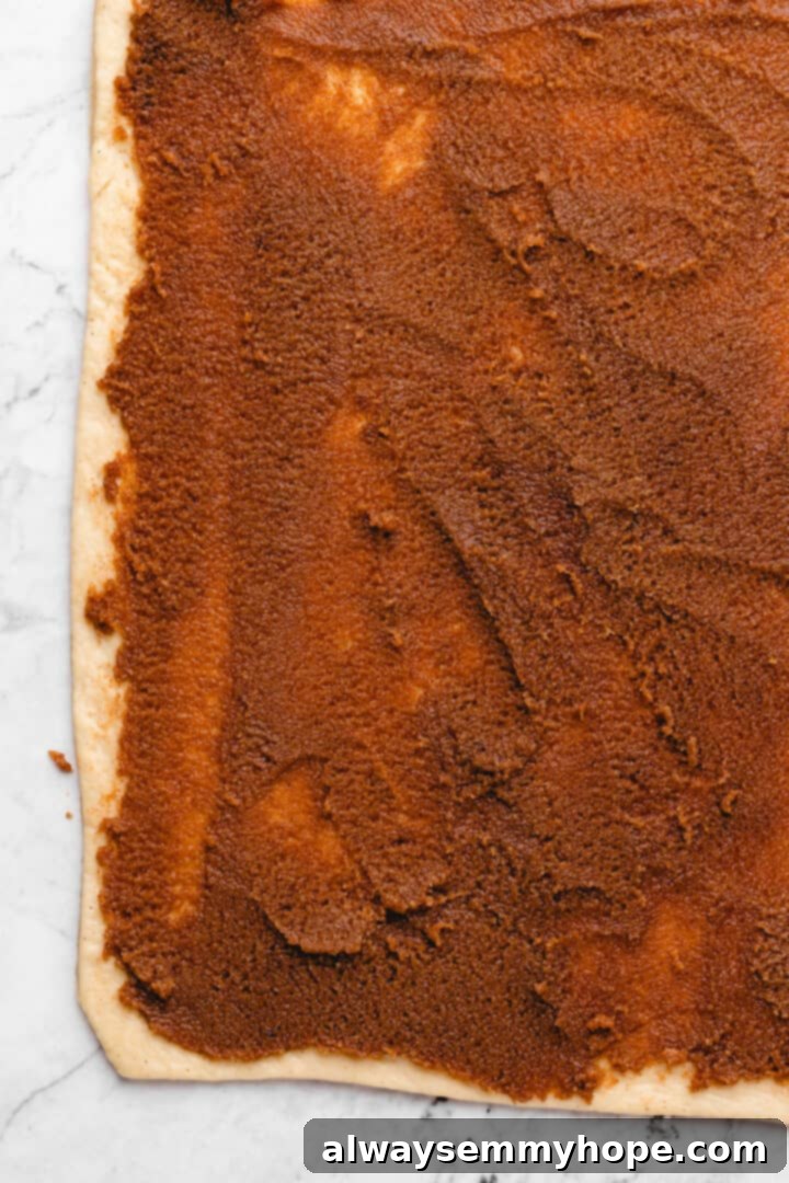 Overhead view of cinnamon filling evenly spread across the rolled-out dough, covering all edges.