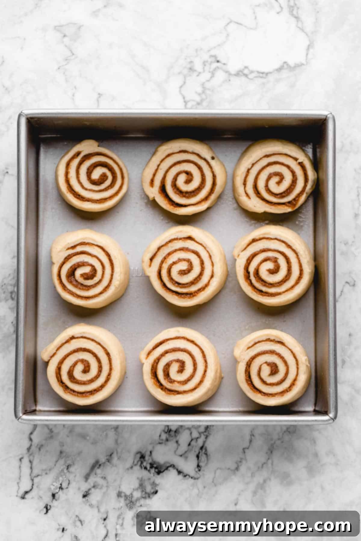 Overhead view of nine cut vegan cinnamon rolls arranged in a square baking pan, ready for their second rise.