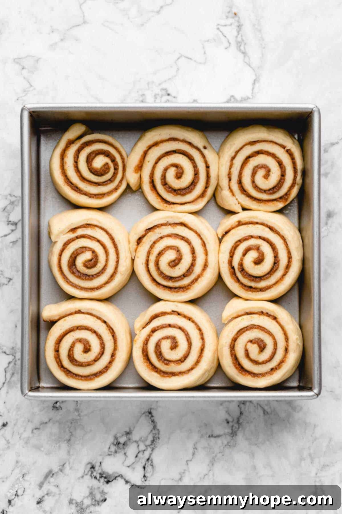 Overhead view of unbaked vegan cinnamon rolls in a square pan, showing they have risen and expanded.
